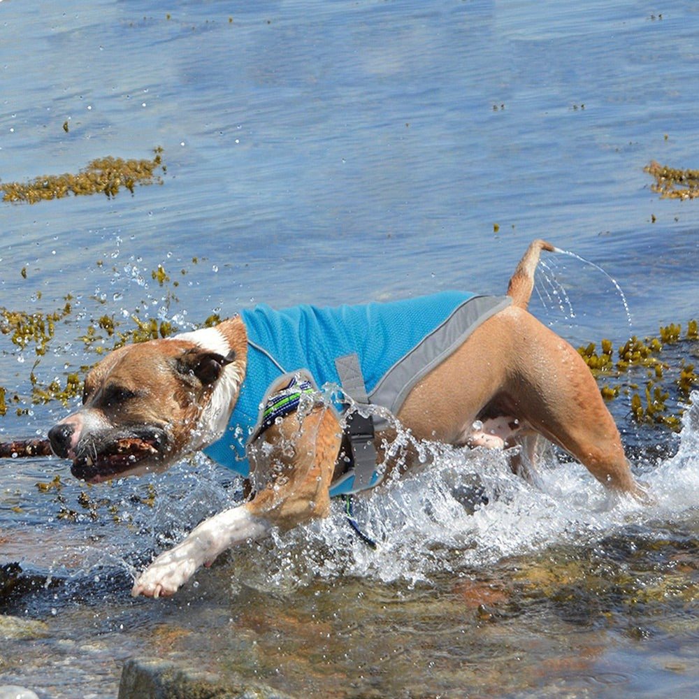 Honden Koelvest | Ademend, Reflecterend, Watergeactiveerd