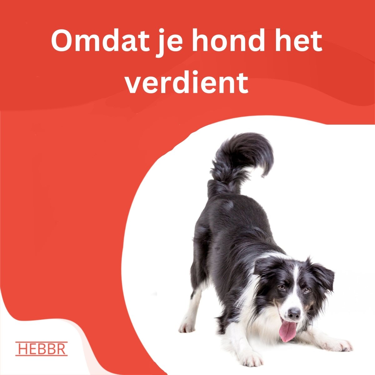 Adult Diner Basic - Hebbr