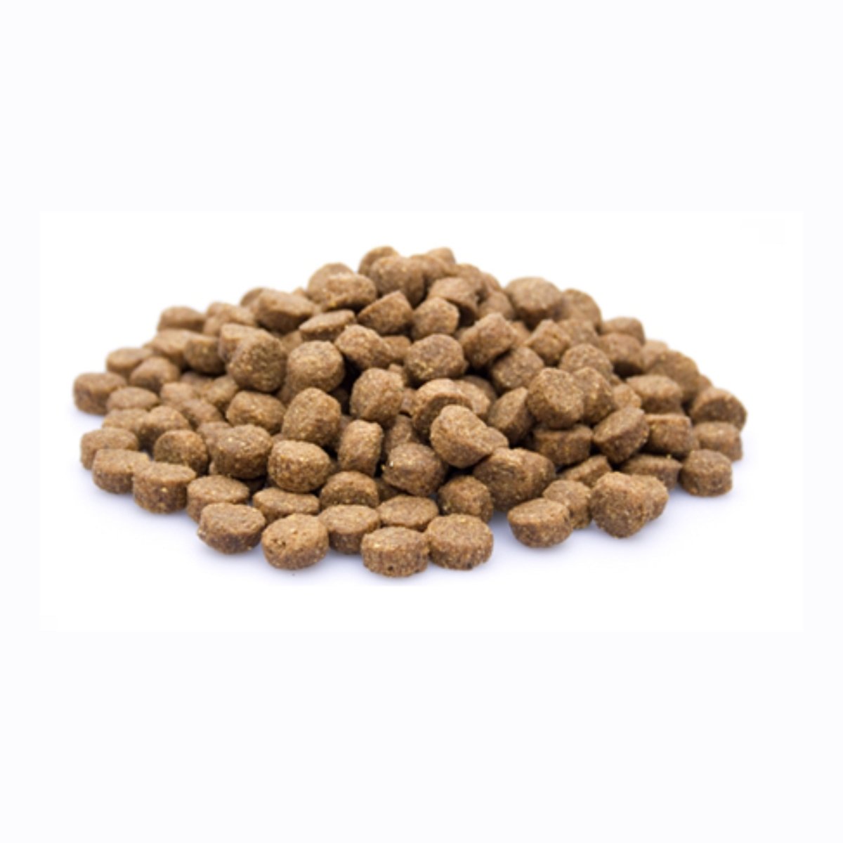 Adult Plus Basic - Adult - Hebbr