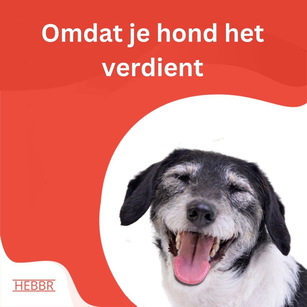 Adult Senior / dieet - Hebbr