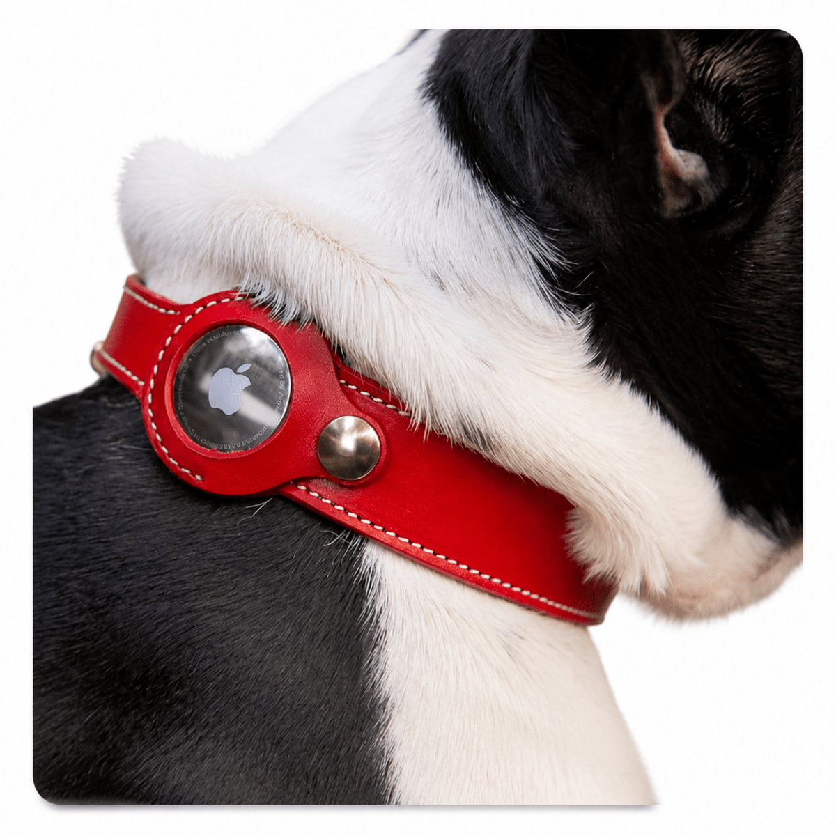 AirTag Lederhalsband - Hebbr