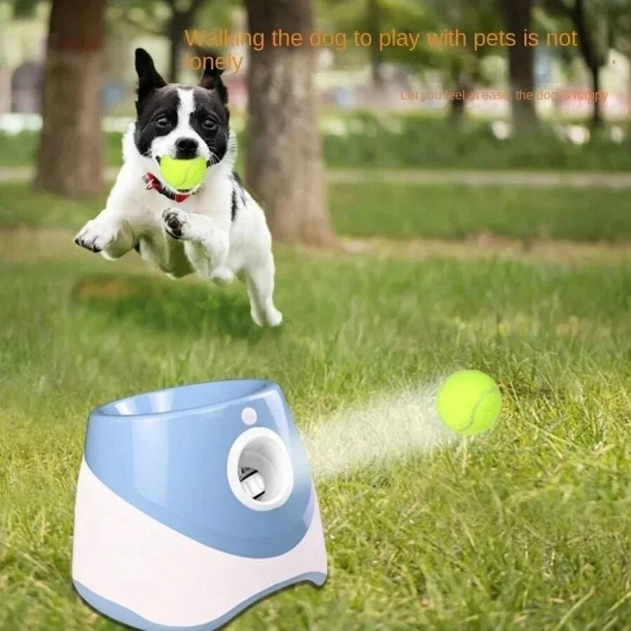 Automatische Hond Launcher met Oplaadbare Tennisbal - Interactief Speelgoed voor Honden en Katten - Hebbr