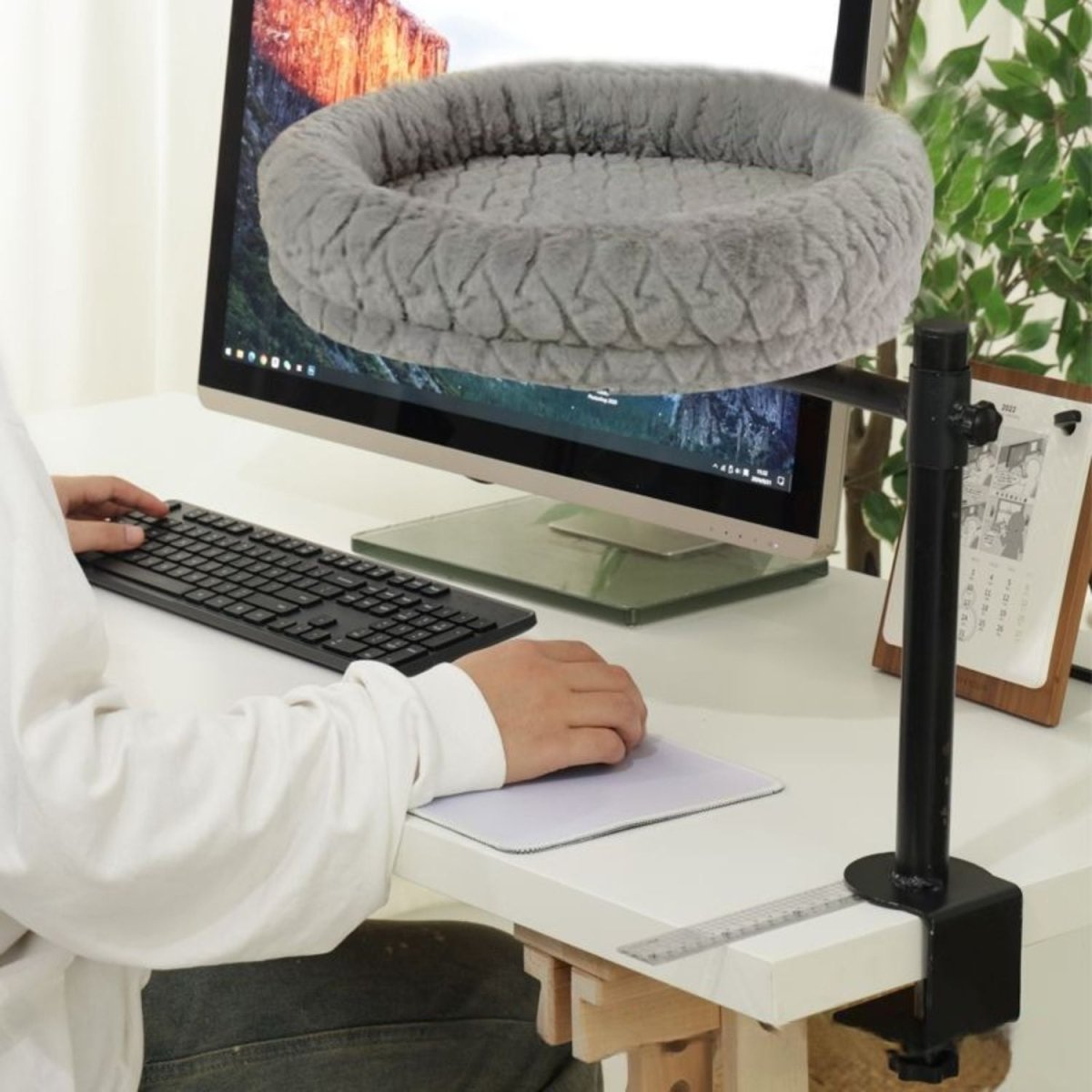 Bureau Kattenmand voor Katten tot 8 kg – Compact, Pluche en Verstelbaar - Hebbr