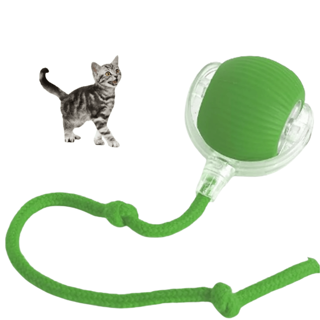 CatMotion - Minimaliseert stress door regelmatige uitdagingen - Hebbr