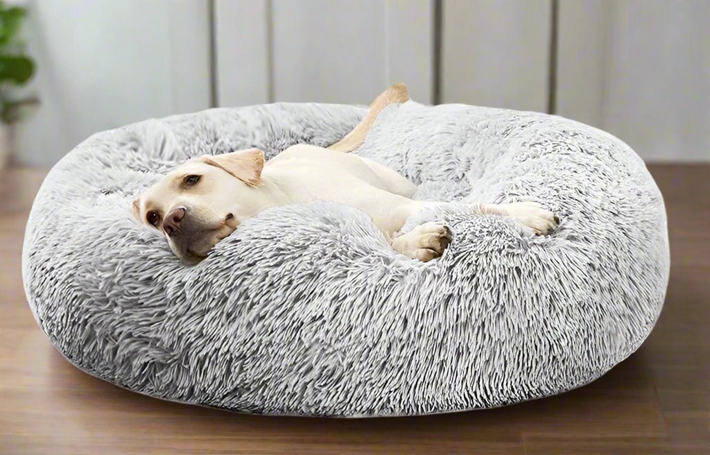 Comfort bed - Laat je vriend heerlijk wegdromen - Hebbr