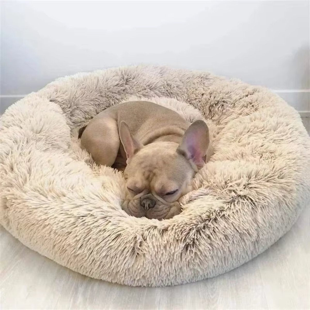 Comfort bed - Laat je vriend heerlijk wegdromen - Hebbr
