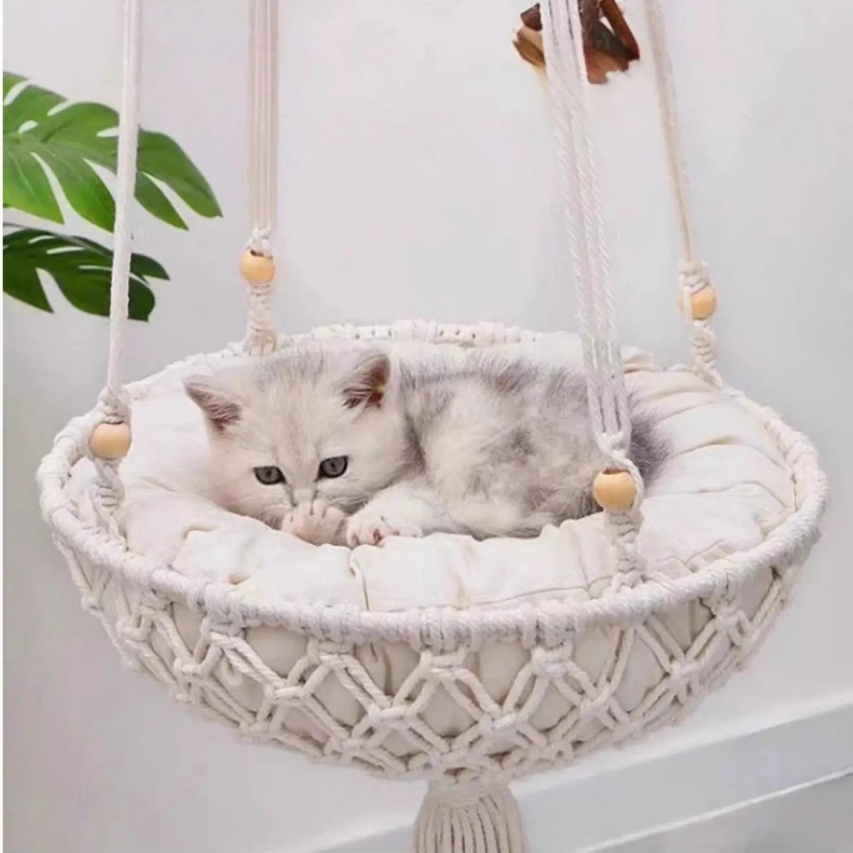 Nicoone Cat Hammock 45 cm Cotton Hammock Cat Hammock for Sleeping Playing Climbing Lounging Nicoone Cat Hammock 45 cm Cotton Hammock Cat Hammock for Sleeping Playing Climbing Lounging