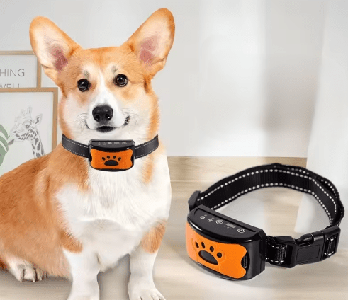 Diervriendelijke Anti - Blaas Halsband voor Honden - Verstelbaar, USB Oplaadbaar en Lichtgewicht - Hebbr