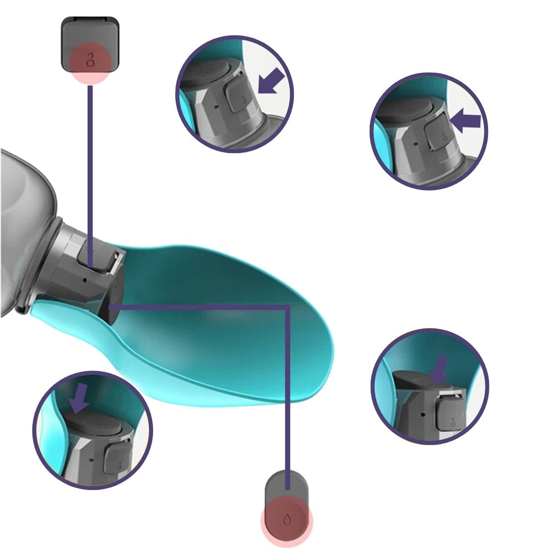 Draagbare Waterfles Voor Honden, Lekvrije Hydratatie Met Eenvoudige Knop - Compact en Veilig - Hebbr
