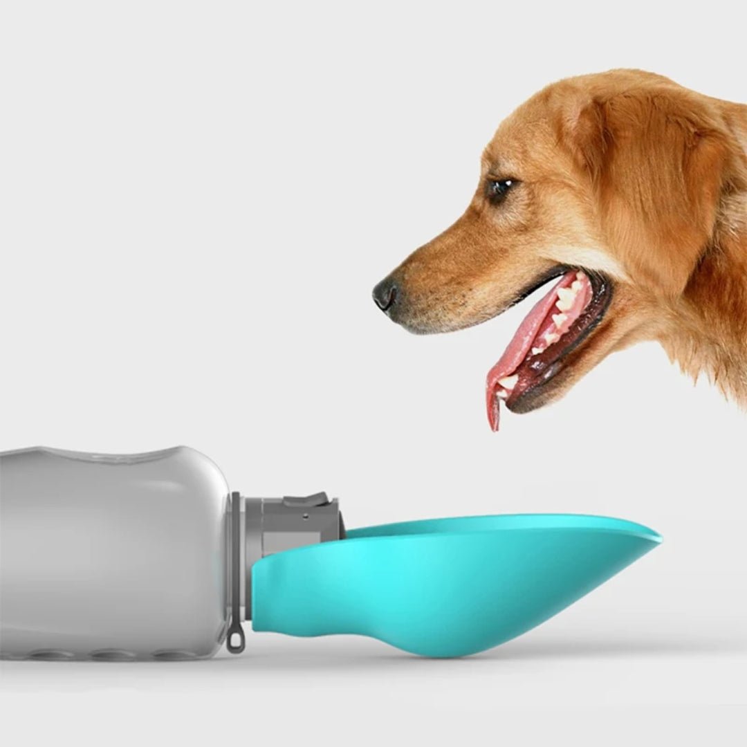 Draagbare Waterfles Voor Honden, Lekvrije Hydratatie Met Eenvoudige Knop - Compact en Veilig - Hebbr