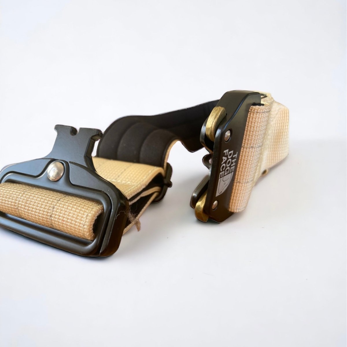 Halsband Hond 2,5 cm Nylon – Sterk en Comfortabel voor Training Oranje - Hebbr