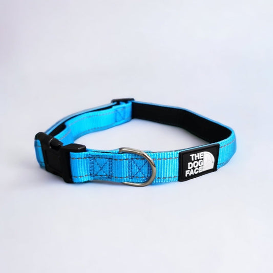 Halsband Hond Verstelbaar Blauw Nylon – Gevoerd en Reflecterend - Hebbr