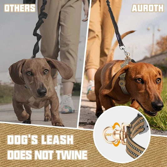 Halsband voor Honden 360° Verstelbaar Nylon – Reflecterend Knoopvrij - Hebbr