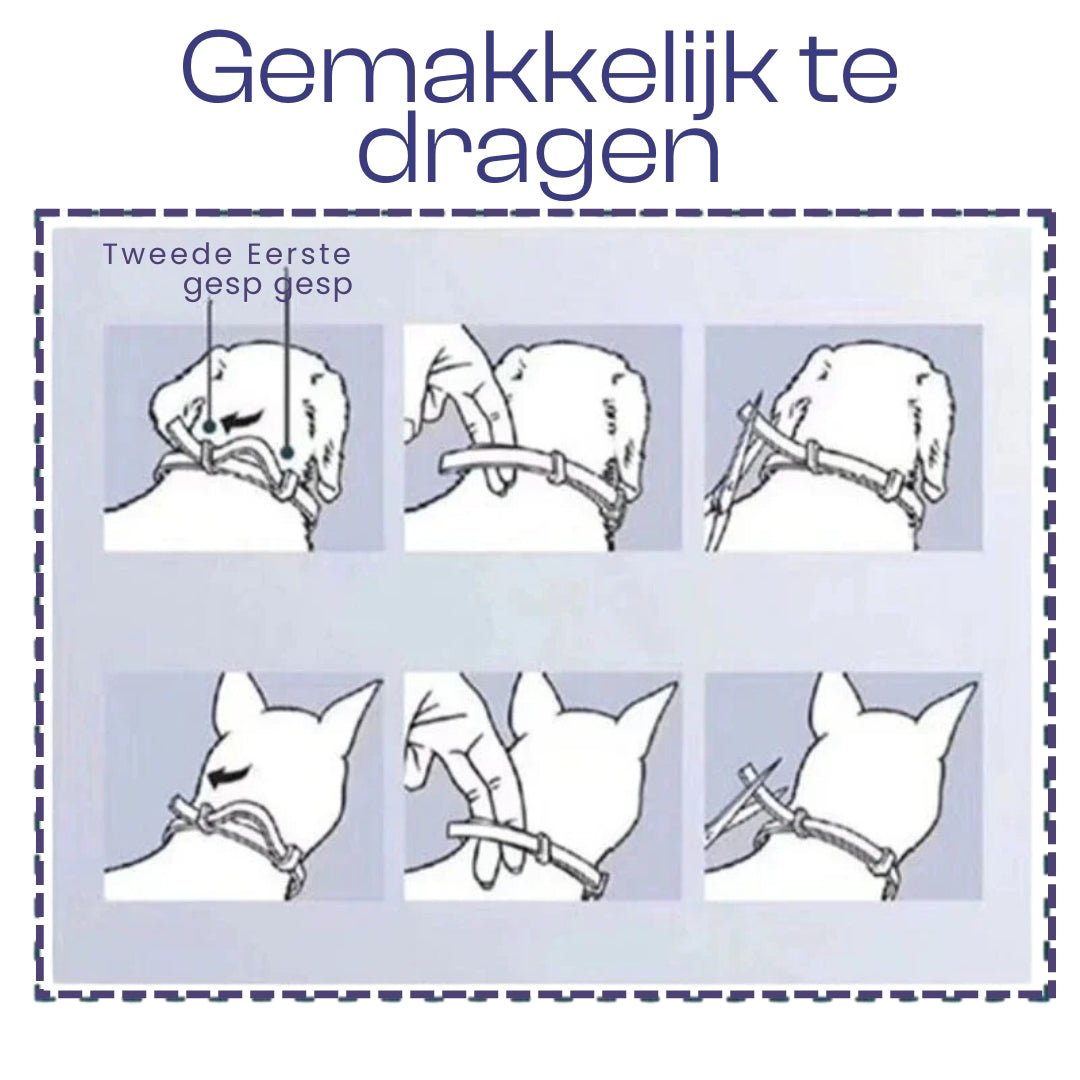 Halsband voor honden en katten 8 maanden – Natuurlijk en veilig Waterbestendig - Hebbr