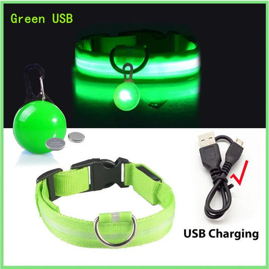 Halsband voor Honden en Katten met LED Licht – USB Oplaadbaar Waterdicht 28–60 cm - Hebbr