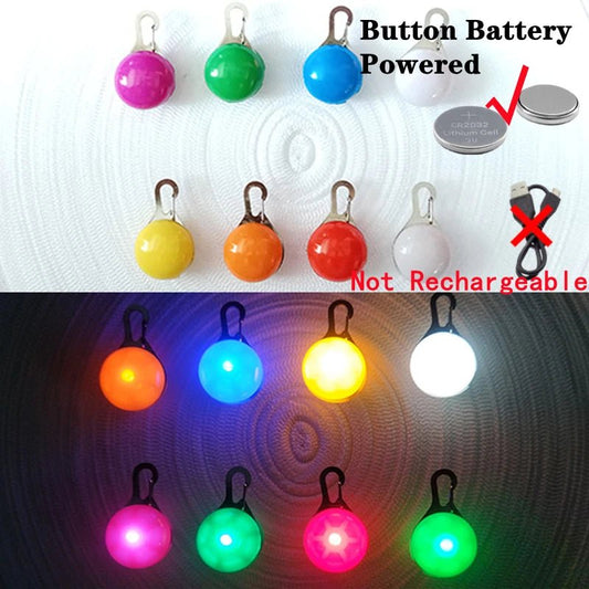 Halsband voor Honden en Katten met LED Licht – USB Oplaadbaar Waterdicht 28–60 cm - Hebbr