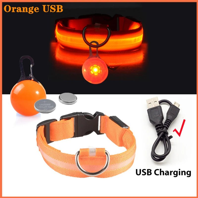 Halsband voor Honden en Katten met LED Licht – USB Oplaadbaar Waterdicht 28–60 cm - Hebbr