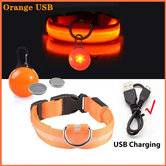 Halsband voor Honden en Katten met LED Licht – USB Oplaadbaar Waterdicht 28–60 cm - Hebbr
