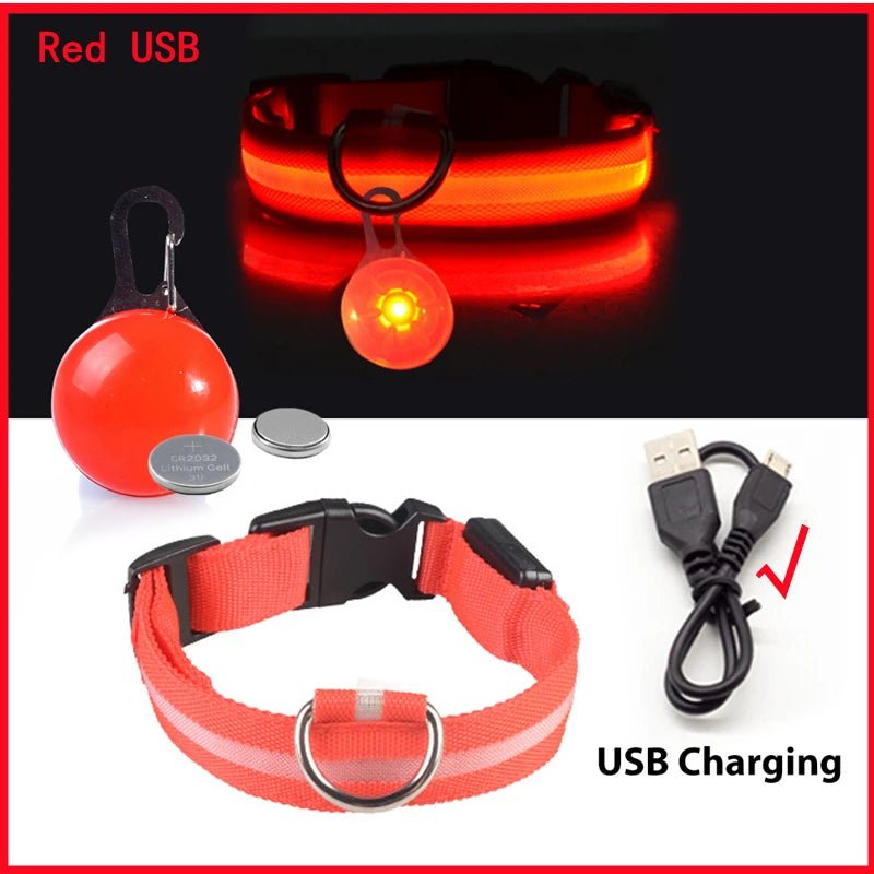 Halsband voor Honden en Katten met LED Licht – USB Oplaadbaar Waterdicht 28–60 cm - Hebbr