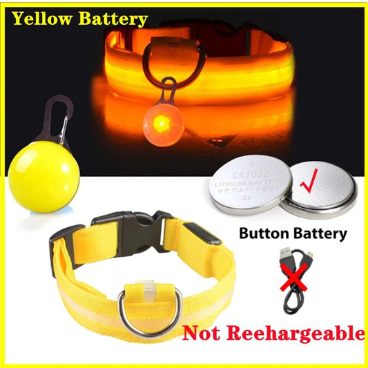 Halsband voor Honden en Katten met LED Licht – USB Oplaadbaar Waterdicht 28–60 cm - Hebbr