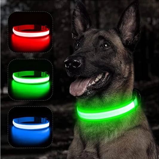 Halsband voor Honden en Katten met LED Licht – USB Oplaadbaar Waterdicht 28–60 cm - Hebbr