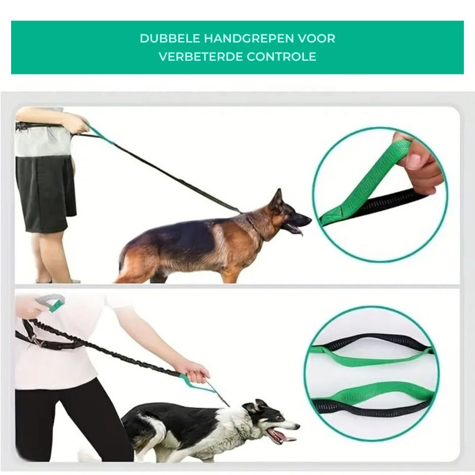 Handsfree Hondenriem Set - Reflecterend, Schokabsorberend en Duurzaam voor Middelgrote Honden - Hebbr