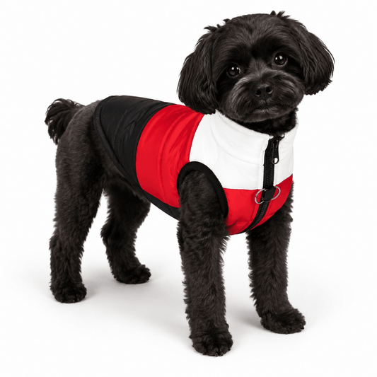Harko Hondenjas | Warm Winterjack voor Kleine tot Grote Honden - Hebbr