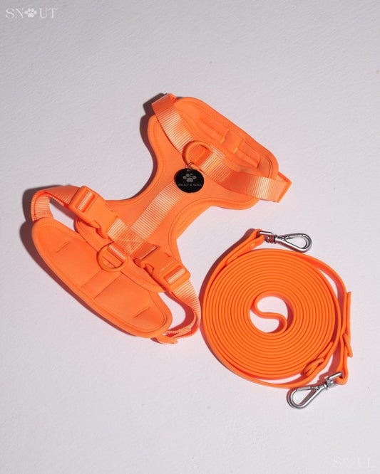 Hond Harnas en Tuigje 5 m – Comfortabel en Veilig voor Wandelen Zwart - Hebbr
