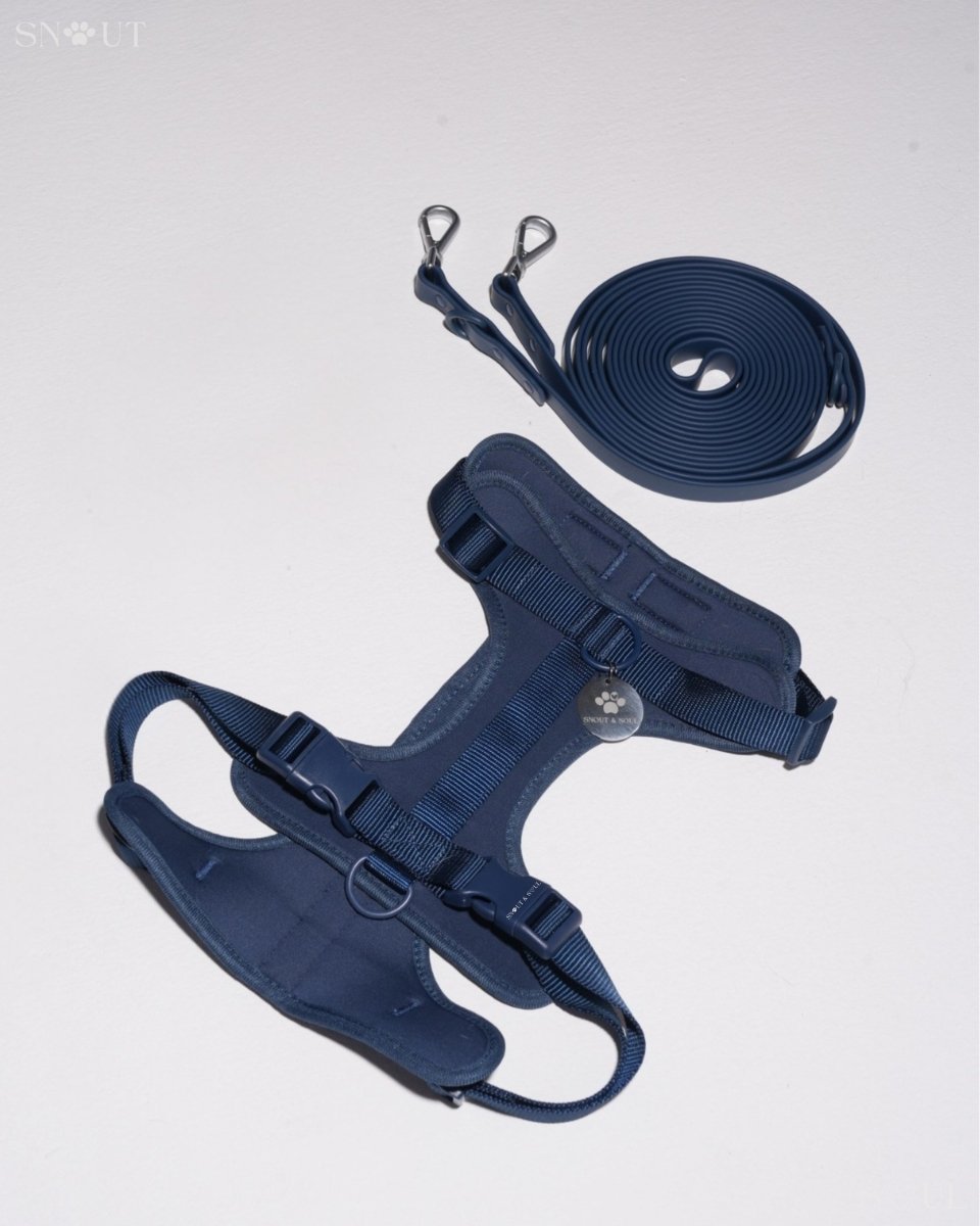 Hond Harnas en Tuigje 5 m – Comfortabel en Veilig voor Wandelen Zwart - Hebbr