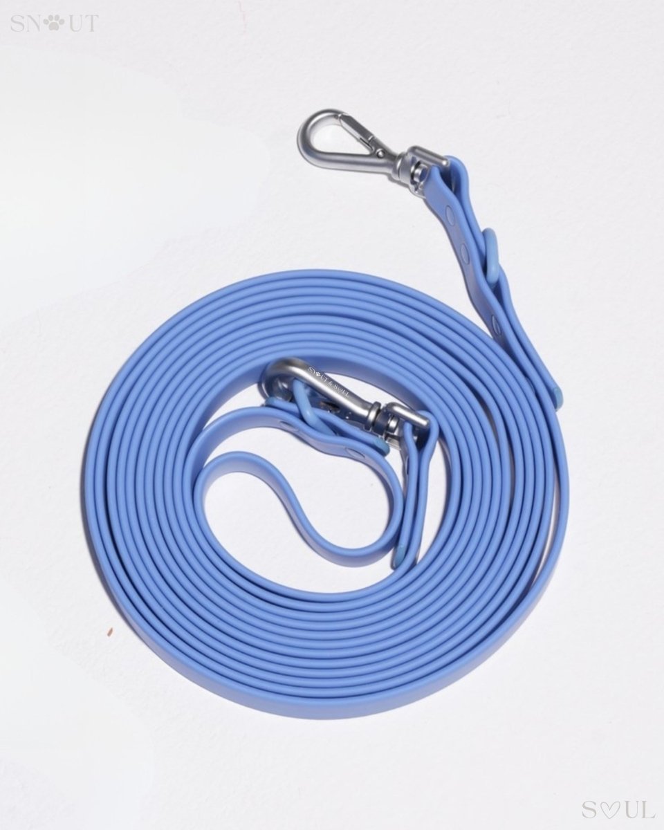 Hond Harnas en Tuigje 5 m – Comfortabel en Veilig voor Wandelen Zwart - Hebbr