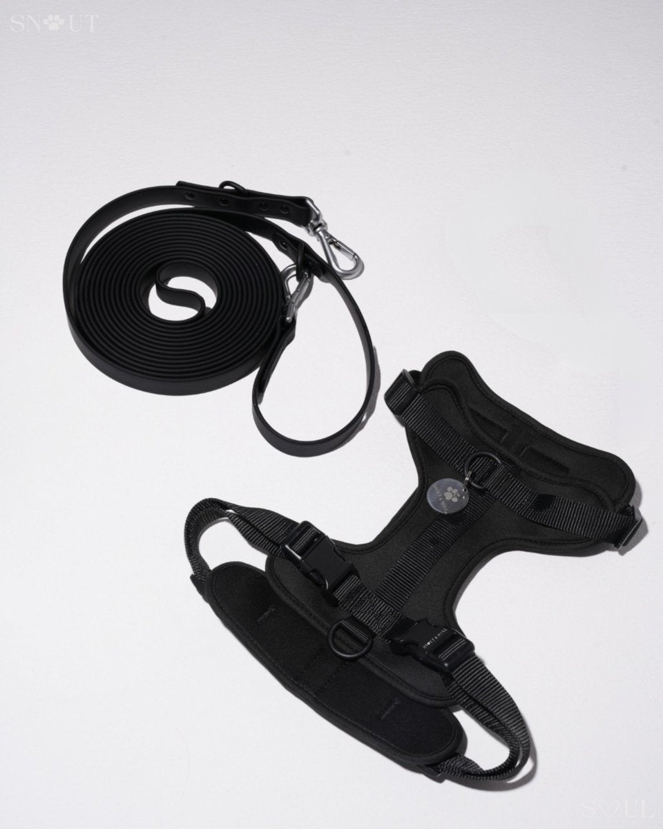 Hond Harnas en Tuigje 5 m – Comfortabel en Veilig voor Wandelen Zwart - Hebbr