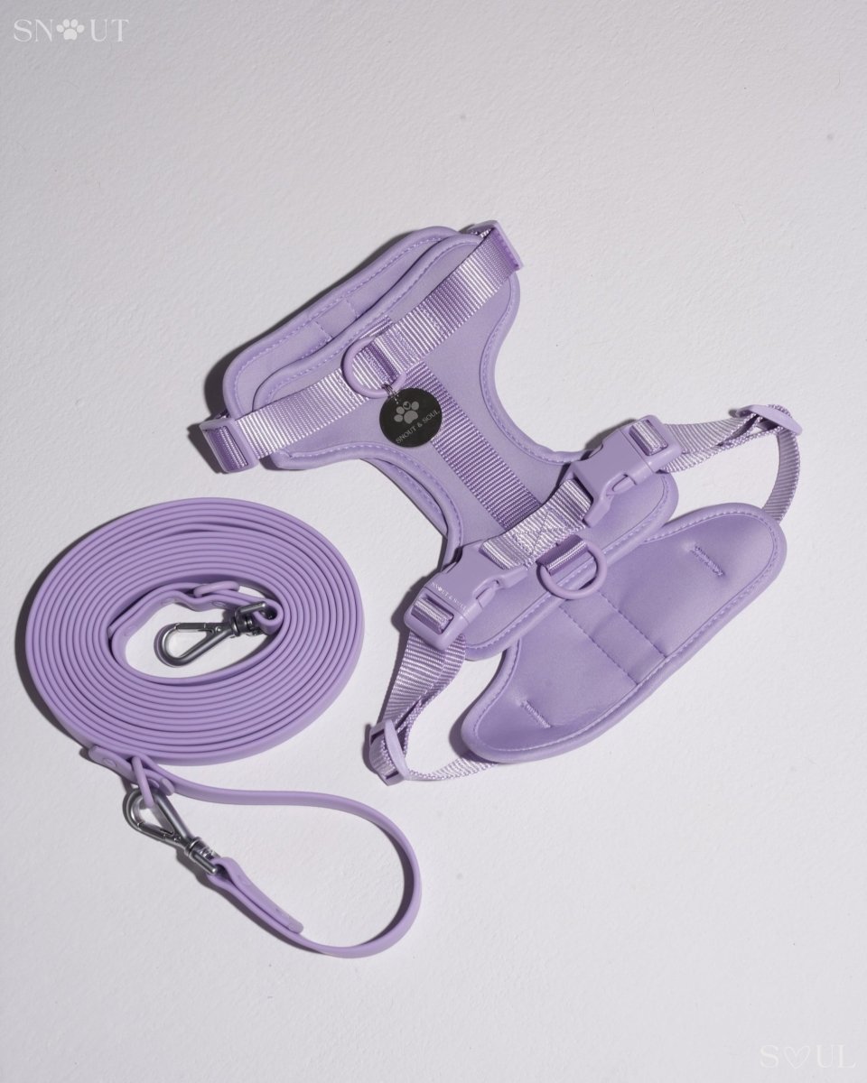 Hond Harnas en Tuigje 5 m – Comfortabel en Veilig voor Wandelen Zwart - Hebbr