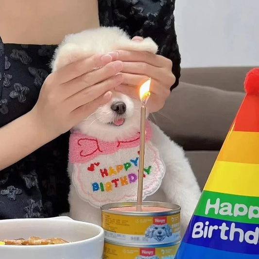 Hond Kat Verjaardag Hoed en Bandana Set – Duurzaam Feestelijk Roze - Hebbr