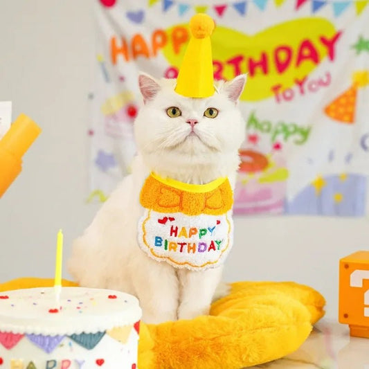 Hond Kat Verjaardag Hoed en Bandana Set – Duurzaam Feestelijk Roze - Hebbr