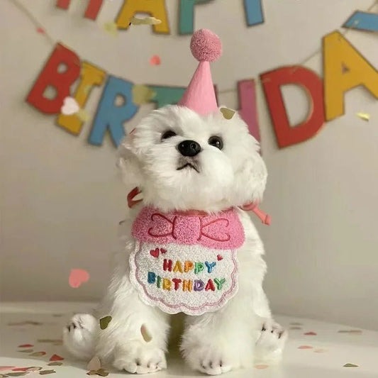 Hond Kat Verjaardag Hoed en Bandana Set – Duurzaam Feestelijk Roze - Hebbr