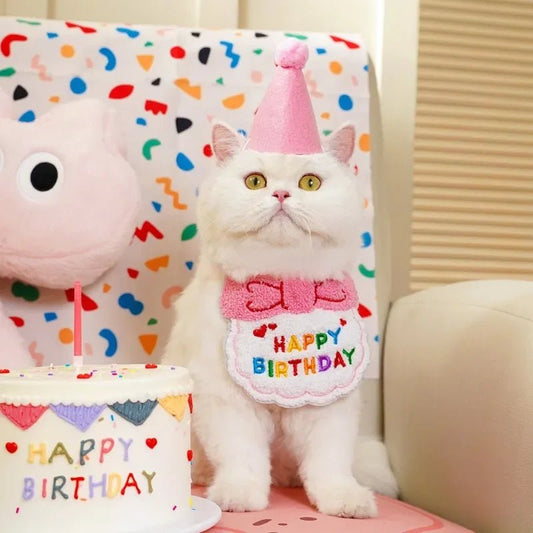 Hond Kat Verjaardag Hoed en Bandana Set – Duurzaam Feestelijk Roze - Hebbr