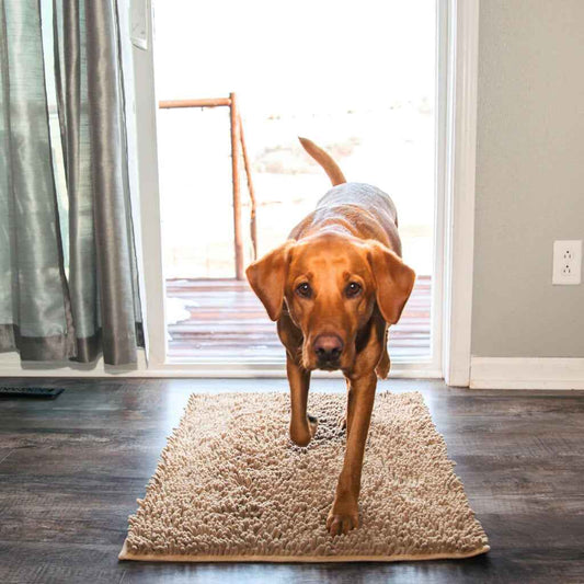 Hond Pootmat 60×90 cm Microvezel – Ultra Absorberend Antislip Grijs - Hebbr