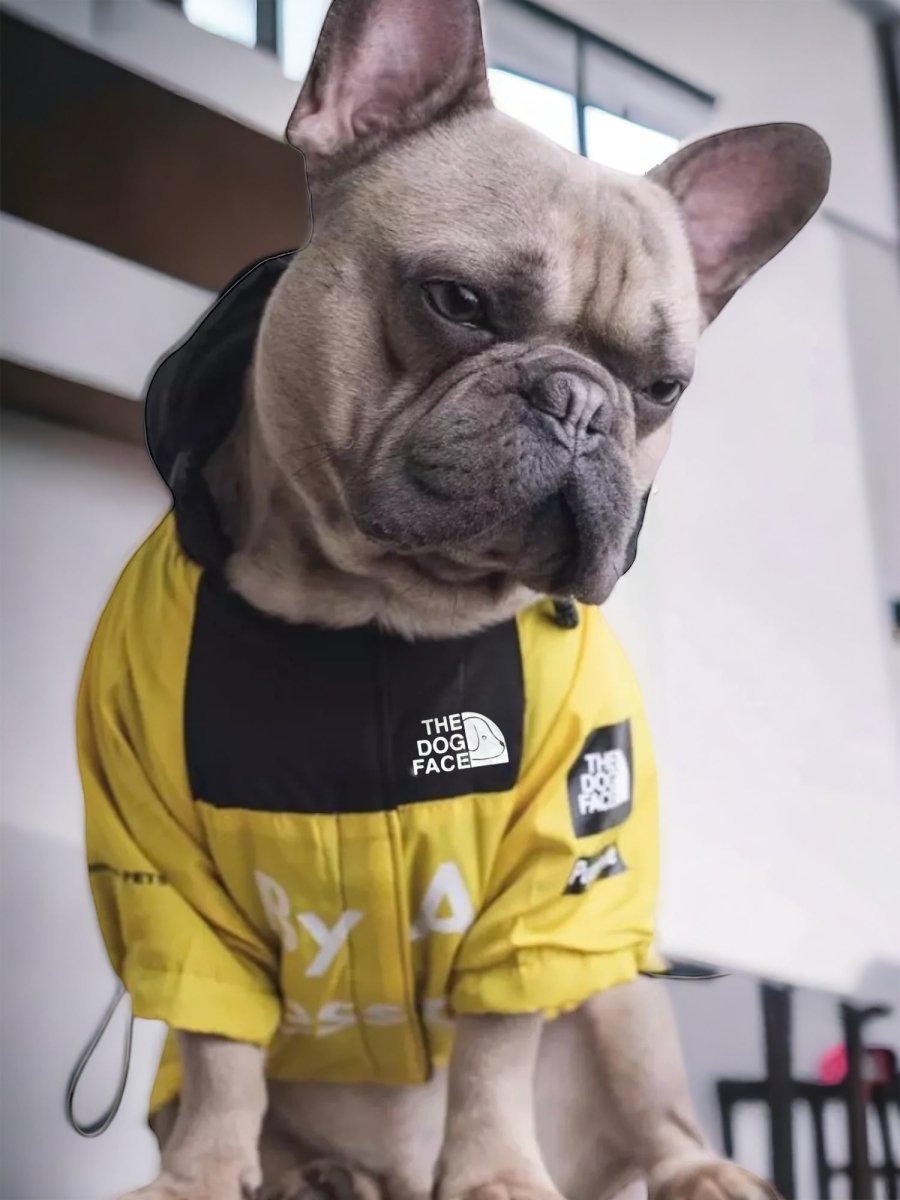 Hond Windbreaker Jack Geel – Waterdicht met Mesh Voering - Hebbr