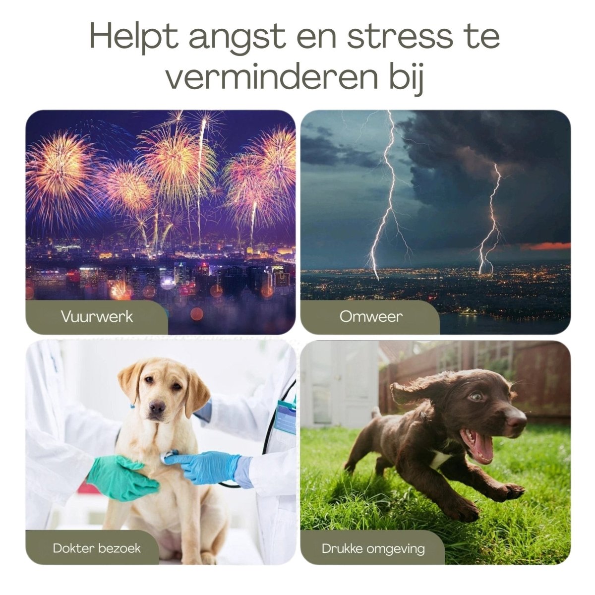 Honden anti - angst en stresvest voor honden – voor Stressvolle Situaties - Hebbr