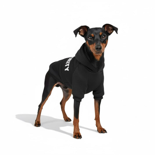 Honden Hoodie XS - 9XL – Warme Hondenkleding voor Koude Dagen Grijs - Hebbr