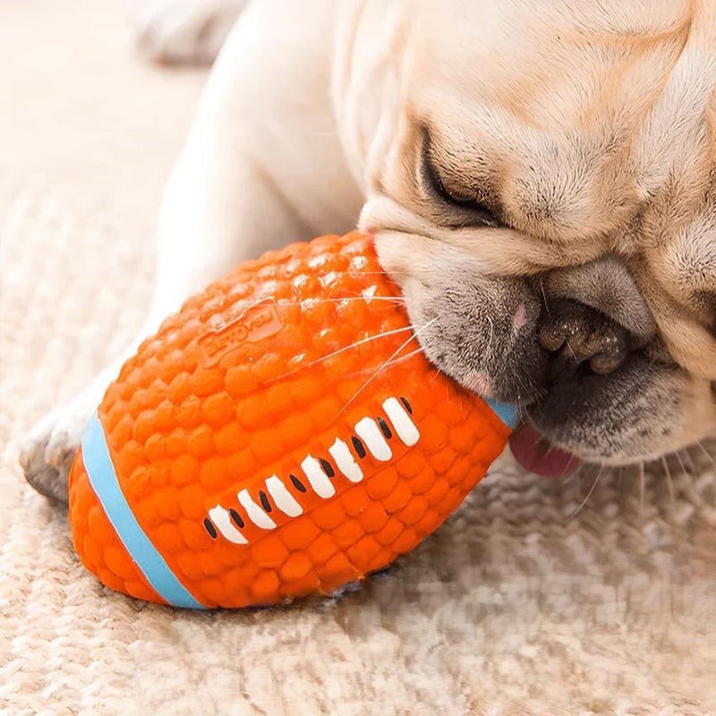 Honden zomerbal - Duurzaam kauwspeelgoed voor actieve honden, zwembaar en gemakkelijk schoon te maken - Hebbr
