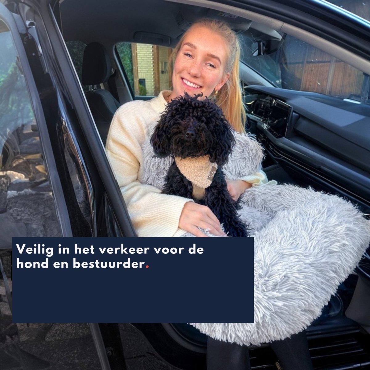 Hondenautostoel voor Auto – Veilig, Comfortabel en Verstelbare Gordels - Hebbr
