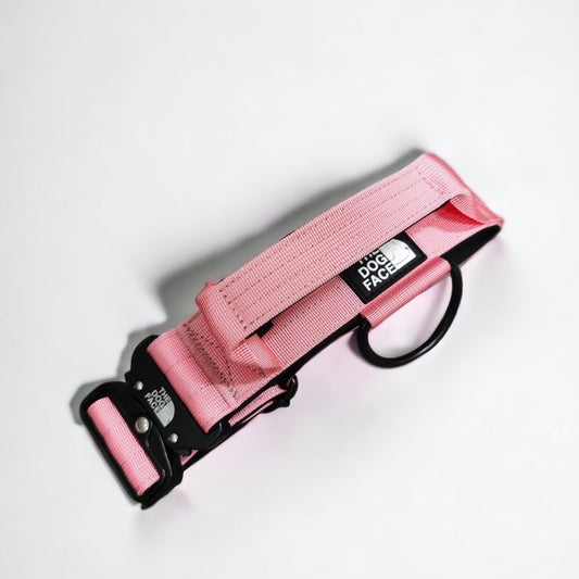 Hondenhalsband 40 mm Nylon – Sterk en Comfortabel voor Actieve Honden Roze - Hebbr