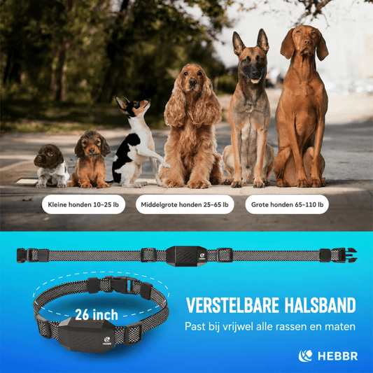 Hondenhalsband | Verstelbaar, Afstandsbediening, 700m Bereik, Voor Training - Hebbr