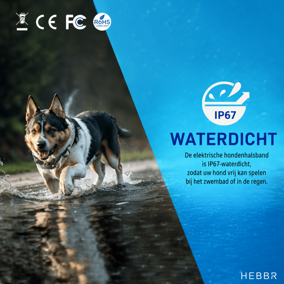 Hondenhalsband | Verstelbaar, Afstandsbediening, 700m Bereik, Voor Training - Hebbr