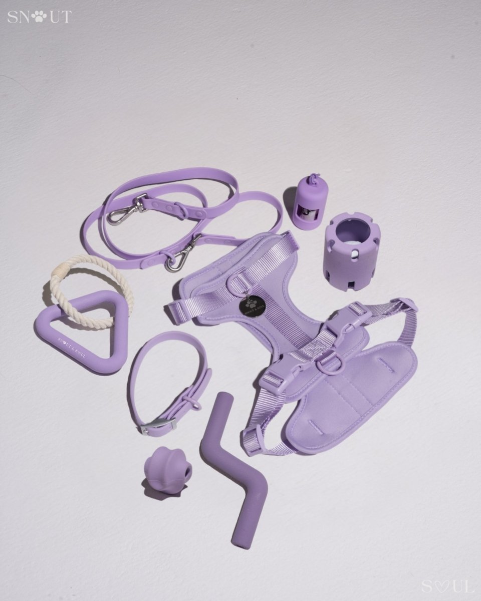 Hondenharnas XXL – All - in - One Tuigje voor Wandelen en Spelen Kleurvarianten - Hebbr