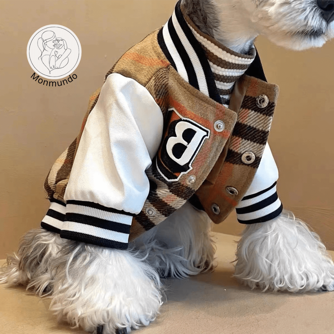 Hondenjas voor Kleine Honden – Luxe Winterhondenjas met Comfortabele Pasvorm - Hebbr