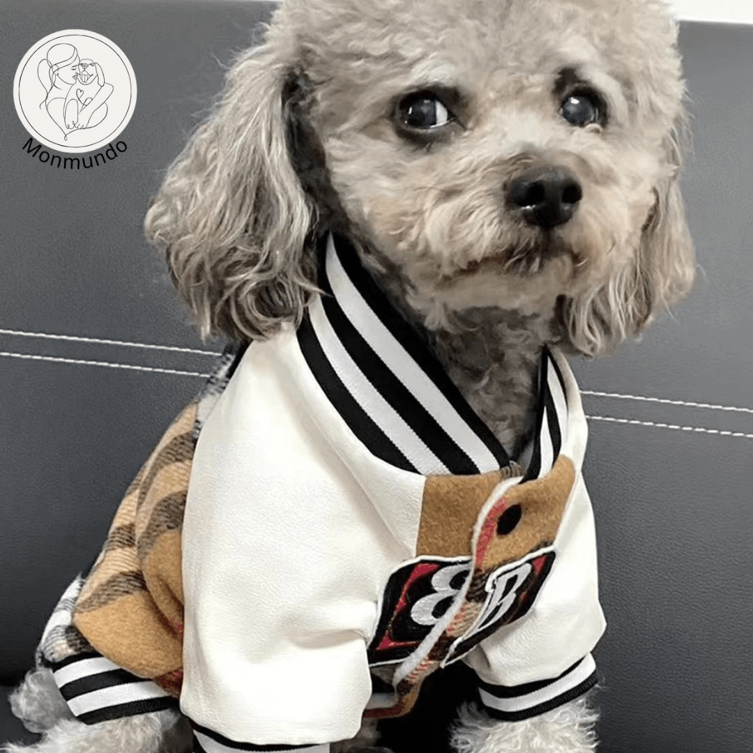 Hondenjas voor Kleine Honden – Luxe Winterhondenjas met Comfortabele Pasvorm - Hebbr