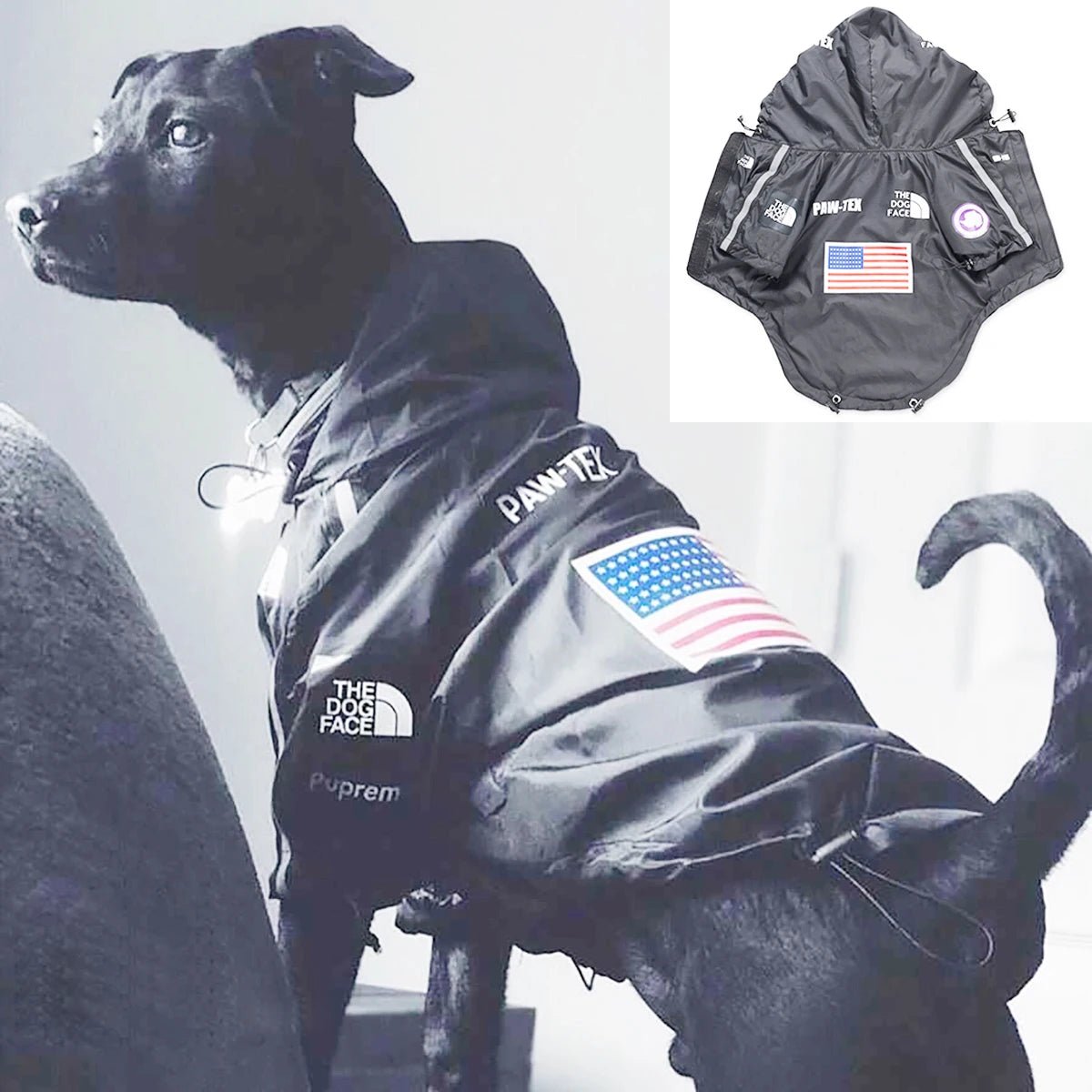 Hondenjas Waterdicht met Capuchon – Reflecterend voor Kleine tot Grote Honden - Hebbr