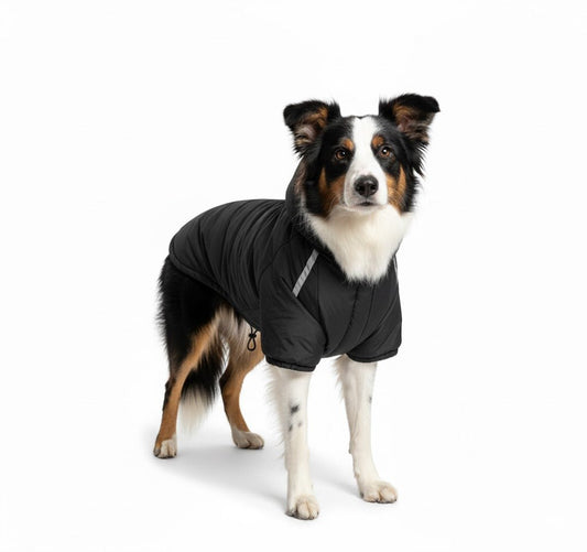 Hondenjas Waterdicht – Warm en Comfortabel voor Herfst en Winter - Hebbr